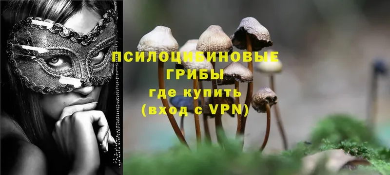 Галлюциногенные грибы Psilocybe  наркошоп  Ачинск 